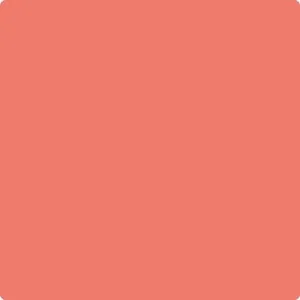 013 Fan Coral