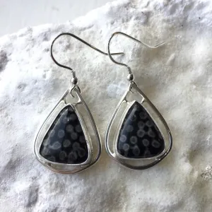 FC01E Fossilised Coral & Sterling Silver Teardrop Earrings