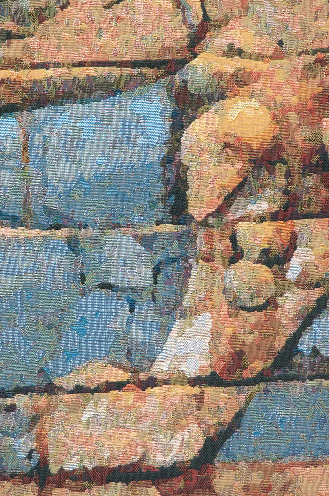 Lion I Darius Belgian Tapestry Wall Hanging