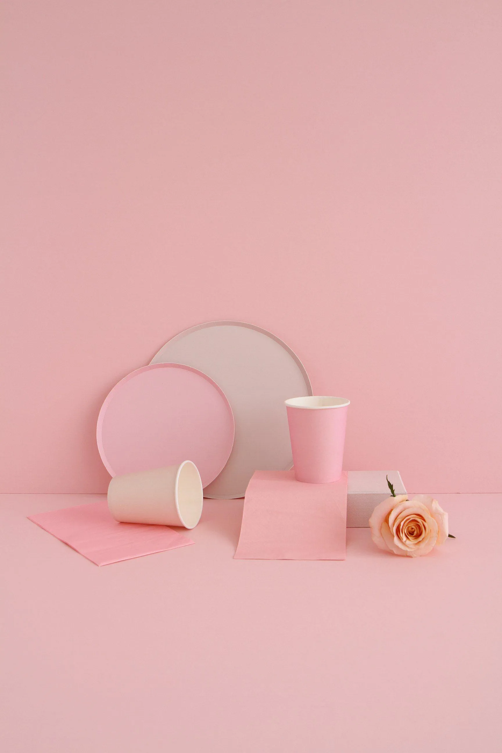 Pretty In Pink Plate Set - Large (8 Pack)