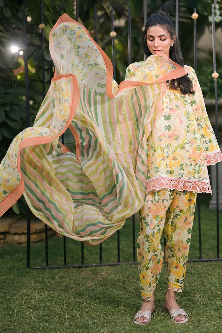 Unstitched Spring Summer '24 - Amil