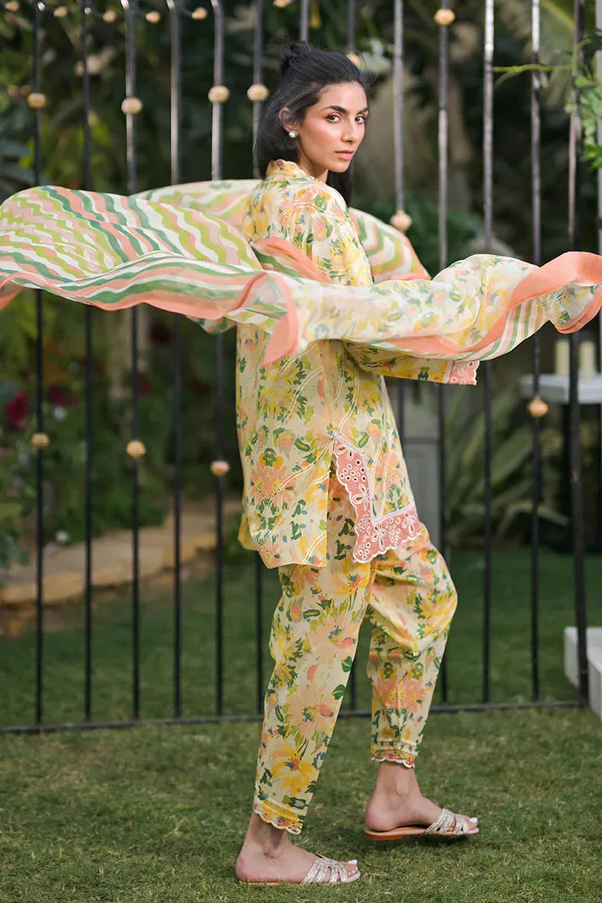 Unstitched Spring Summer '24 - Amil