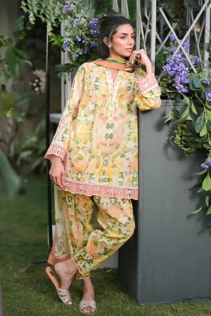 Unstitched Spring Summer '24 - Amil
