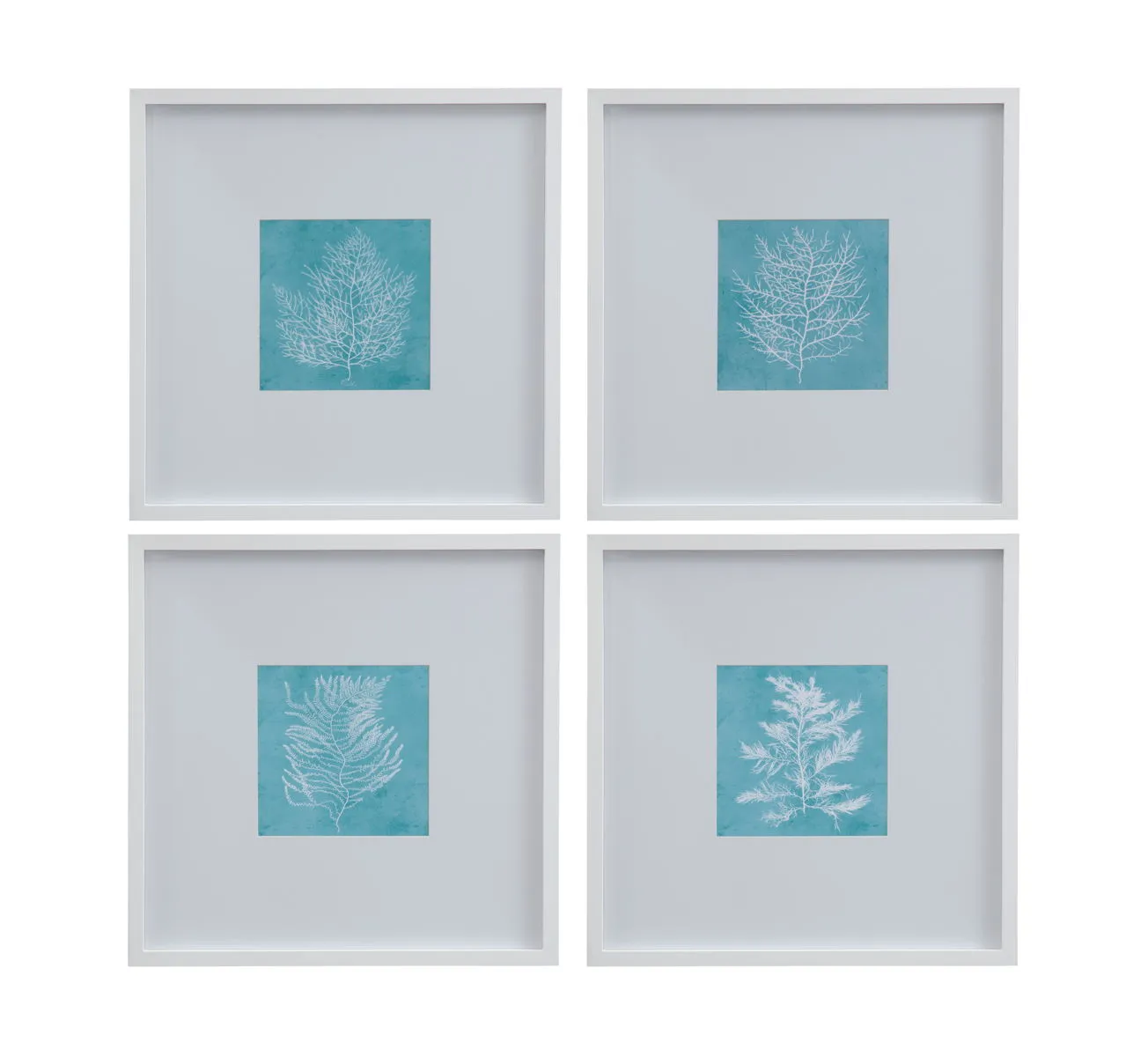 White Coral On Blue - Framed Print (Set of 4) - Blue / White